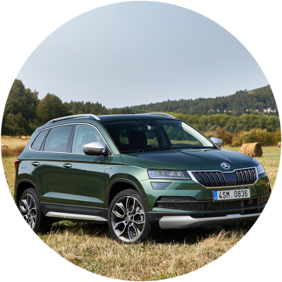 Ремонт Ремонт, Покраска, Замена Крыши Автомобиля Skoda Karoq